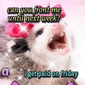 Meet your Posher, Lisa